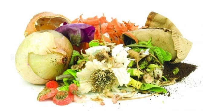 фото з відкритих джерел