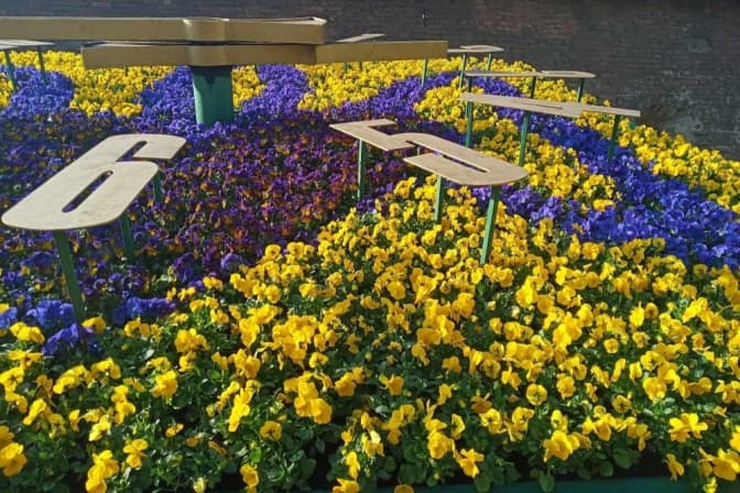 У центрі Львова висадили перші квіти