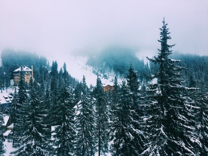 фото ілюстративне: unsplash.com/Alisa Golovinska