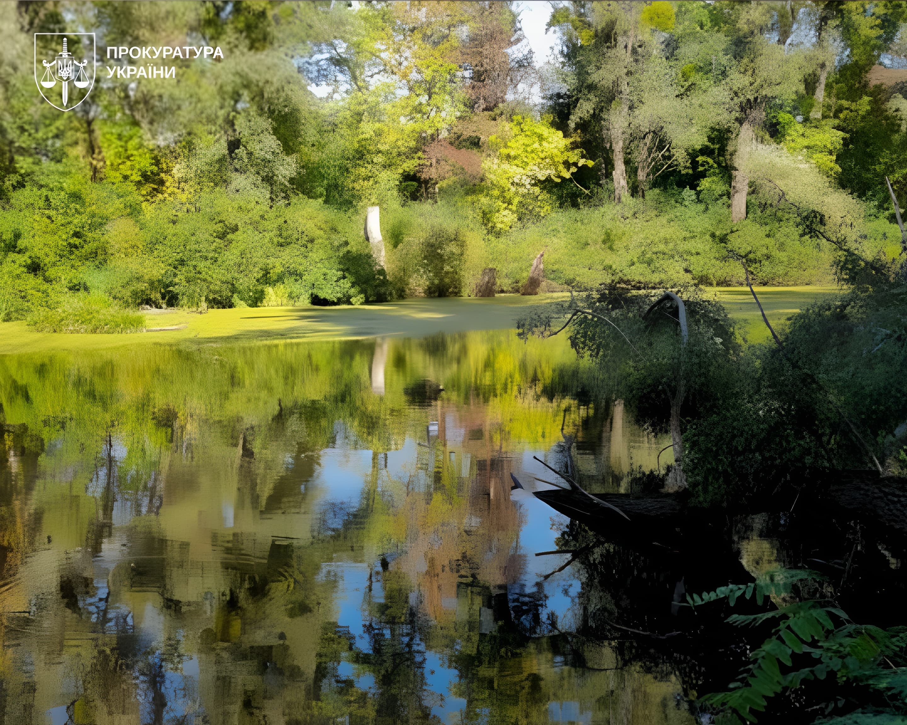 Урочище Горбачиха. Фото: Офіс генпрокурора