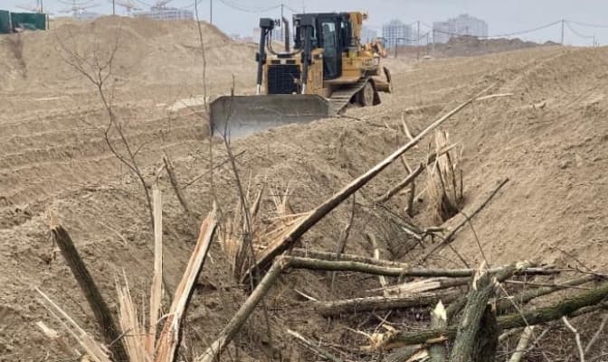 В «Екопарку Осокорки» знищують дерева