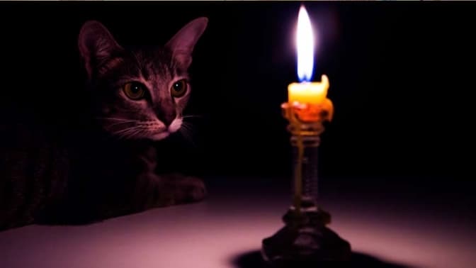 Фото: Getty Images