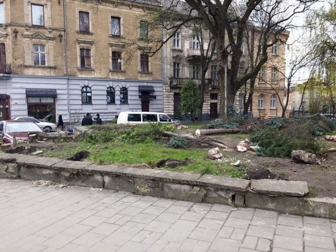 Зрубані дерева у Львові використовуватимуть для опалення