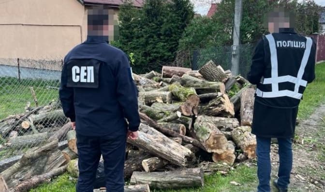 На Львівщині лісника підозрюють у незаконному продажі деревини