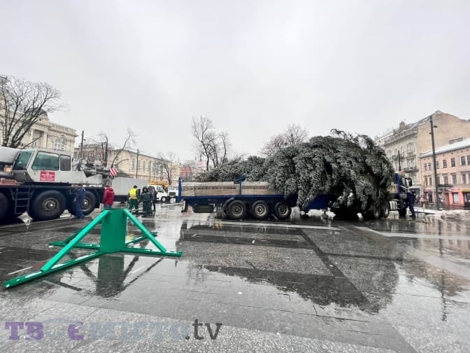 Коли у Львові відкриють ялинку, як нині відключатимуть світло та головне з колонки Залужного. Найважливіше за 30 листопада