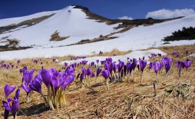 Умовне фото