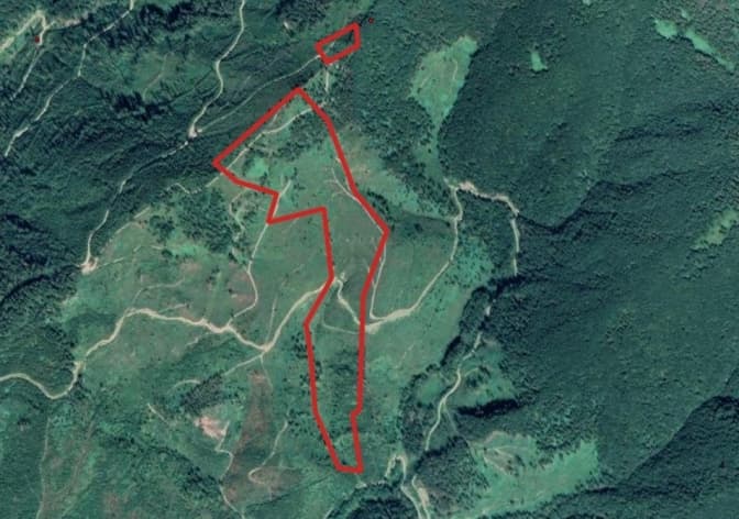 На Львівщині хочуть зробити курорт на заповідних територіях Карпат
