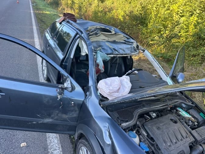 На Львівщині сталася смертельна аварія: лось вибіг на дорогу