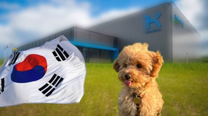 Made in Lviv. Українська компанія вийшла на ринок Південної Кореї