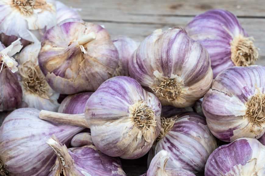 Ілюстративне фото з сайту "Агробізнес сьогодні"