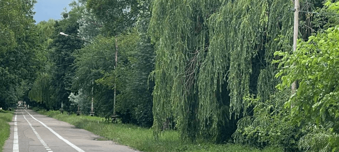 У парку ВДНГ у Києві замінять старі ліхтарі