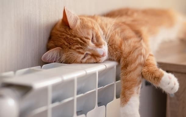 фото умовне