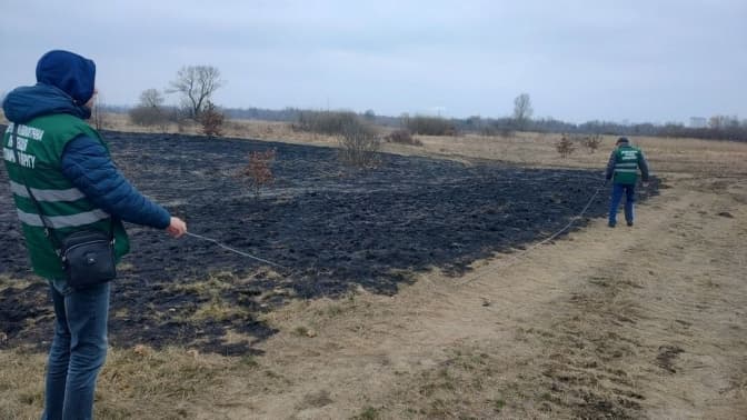 Збитки від пожежі в екопарку Осокорки оцінили в пів мільйона гривень