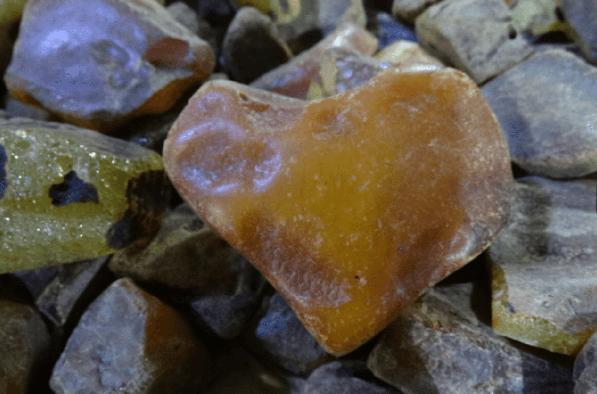 Польські митники виявили 23 кг контрабандного бурштину зі Львівщини