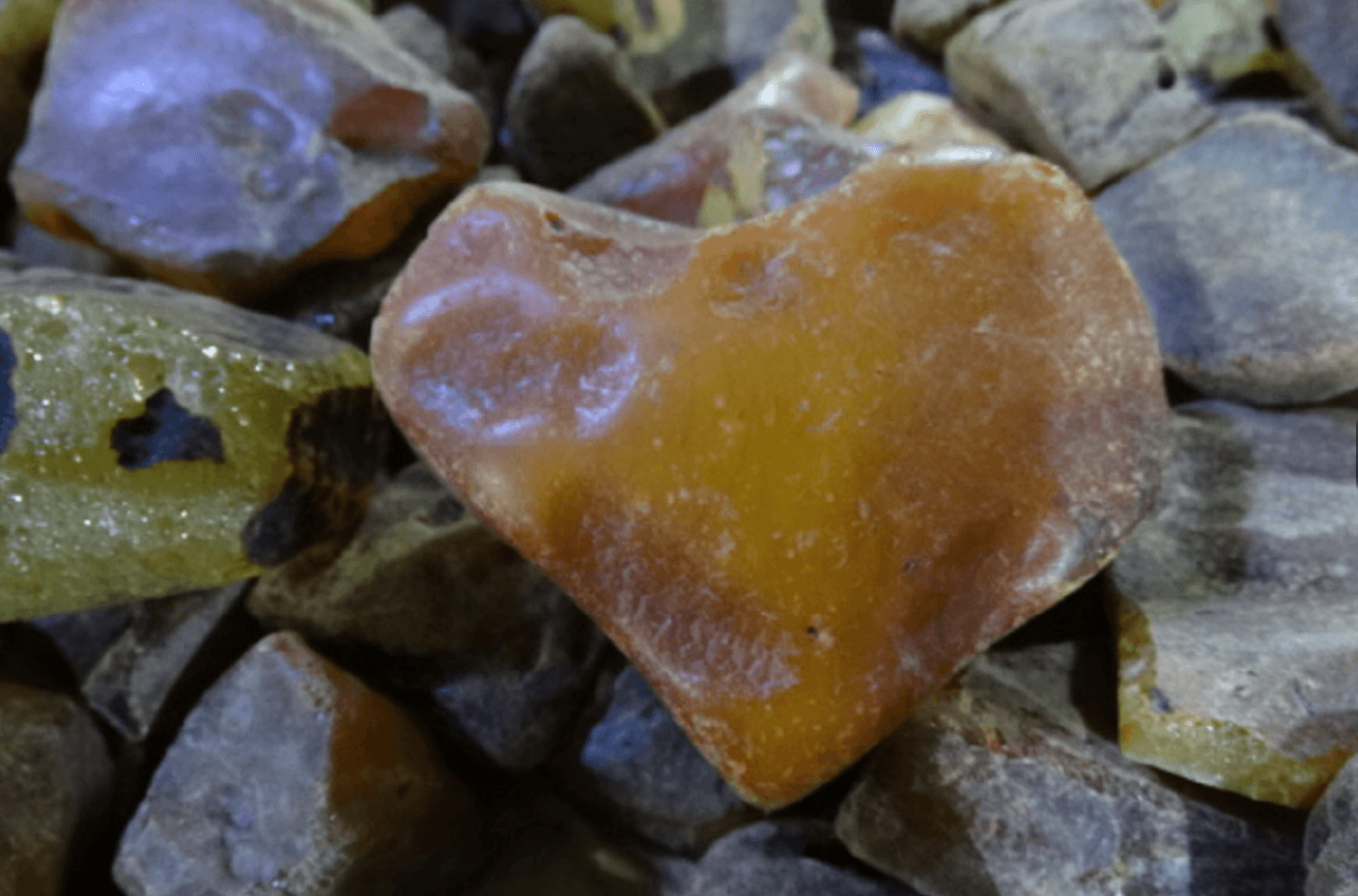 Фото: Палата податкової адміністрації