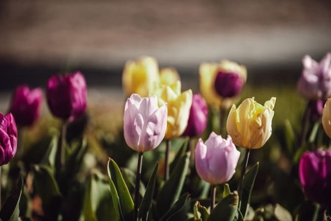 Фото умовне