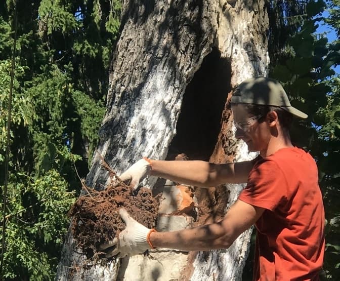 Фото: Дім Франка