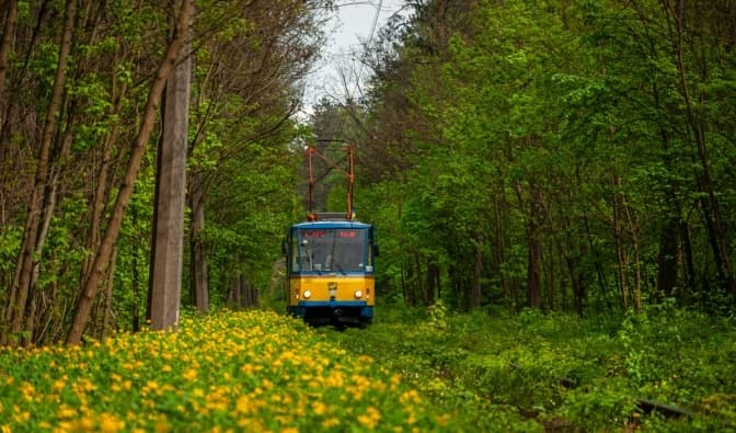 В Києві знову ходитиме трамвай-кафе до Пущі-Водиці