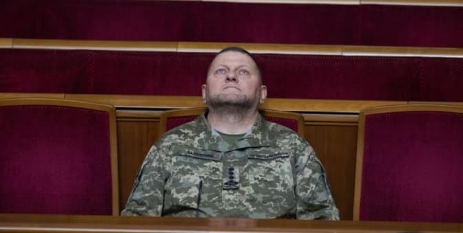 Фото: Валерія Залужний