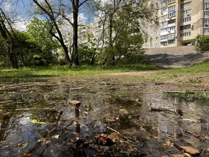 Кияни підтримали петицію проти будівництва паркінгу на Прирічній