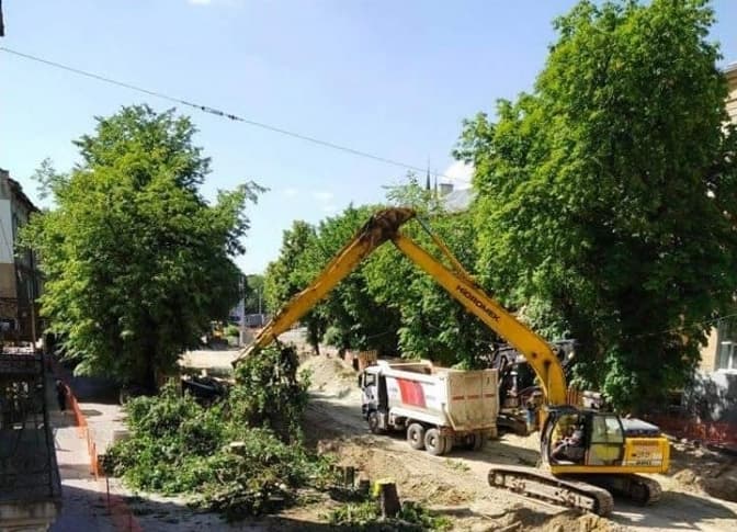 Під час реконструкції вулиці Бандери у Львові пошкодили дерева