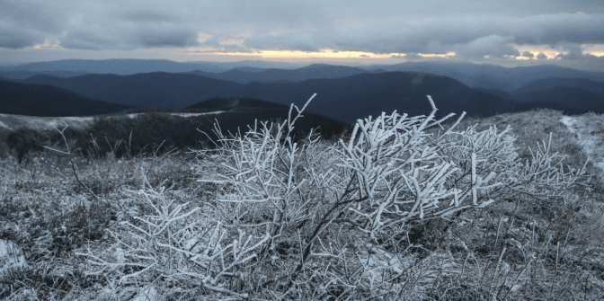 Фото: Радіо Свобода