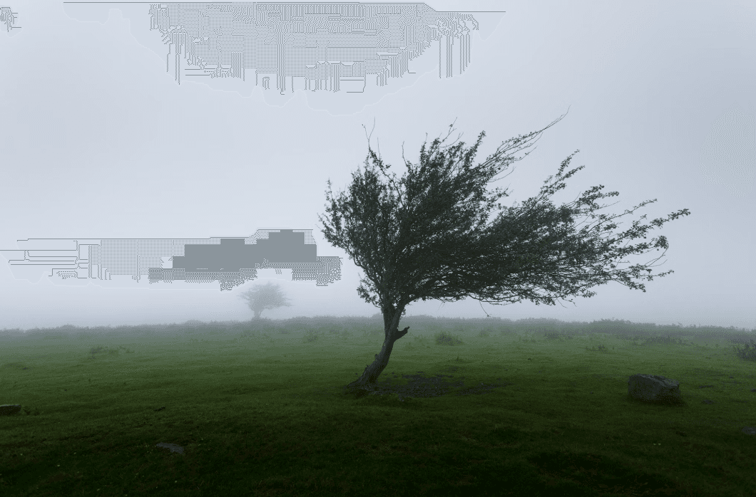 Ілюстративне фото / Unsplash