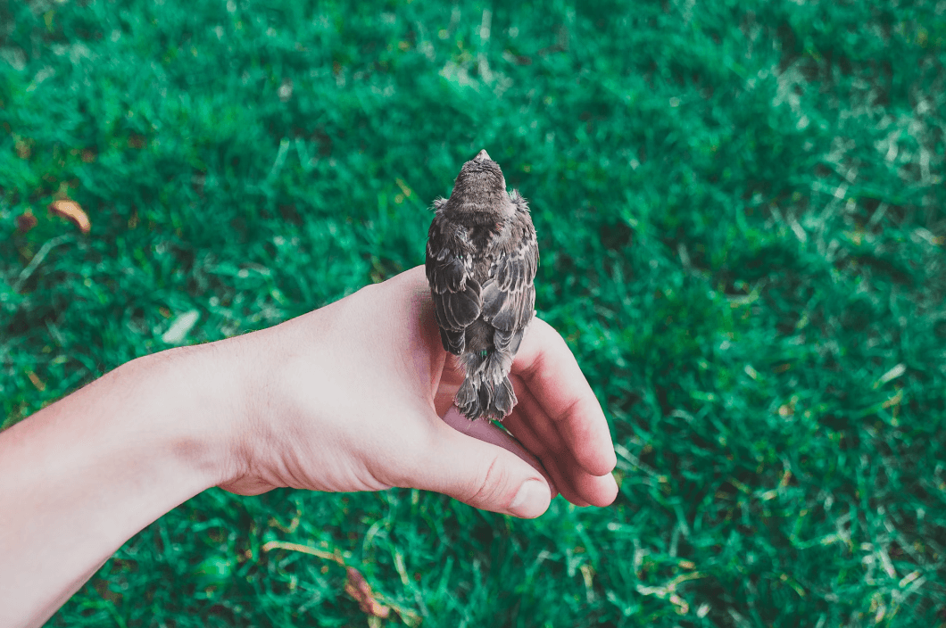 Умовне фото | Unsplash