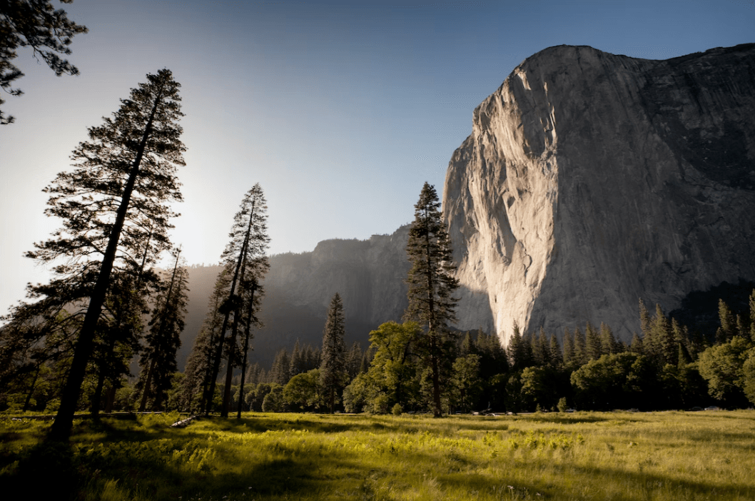 Фото умовне / Unsplash