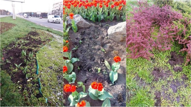 Фото: КО «Київзеленбуд»