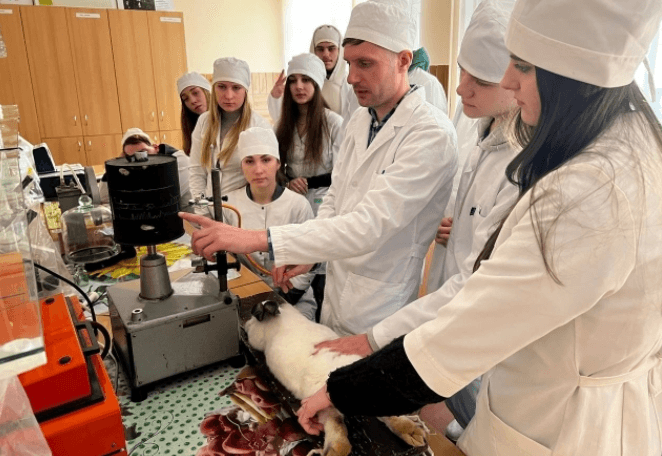 Поліція взялась за жорстоке поводження з тваринами в київському медичному університеті