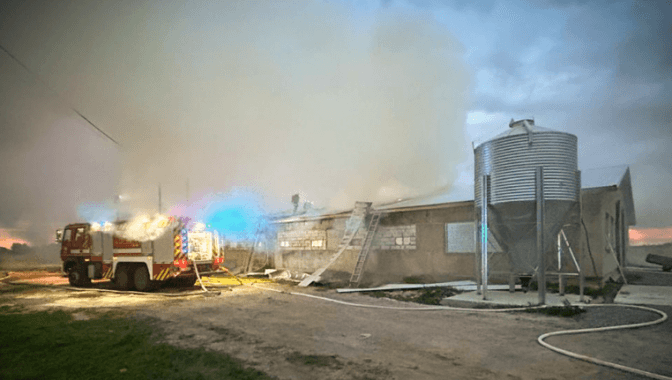 Вогнеборці врятували 30 тисяч курчат під час пожежі на Львівщині