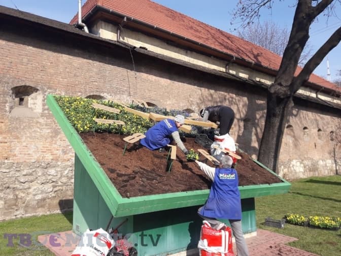 Фото дня: на площі Митній прикрашають квітковий годинник