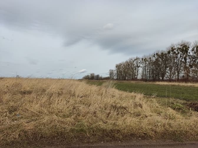 Фото умовне