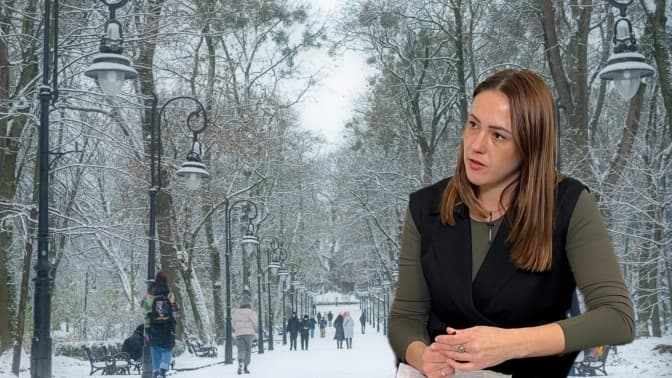 «Кожен має бачити з вікна хоч би три дерева». Розмова з очільницею управління екології