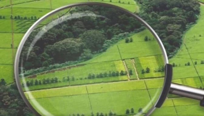 «Це робиться, аби захистити тих, хто незаконно отримав землі». Що відомо про законопроєкт 12089