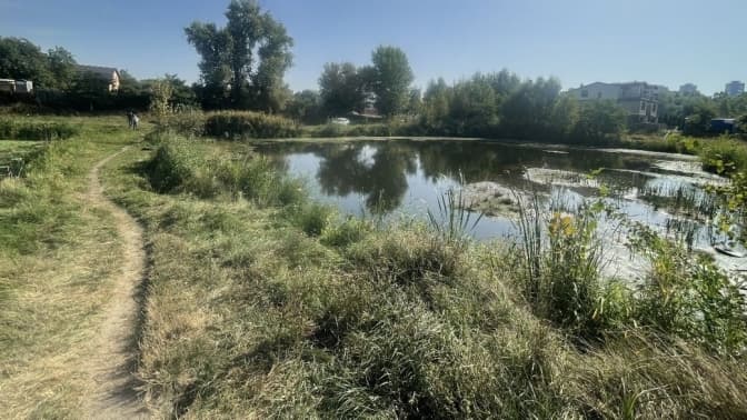 На розчищуванні озера в Києві "відмили" 330 тисяч грн, — Прокуратура