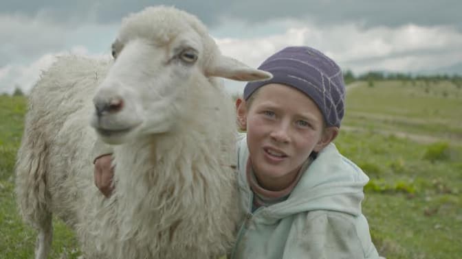 Українська «документалка» про вівчарів здобула приз у Канаді