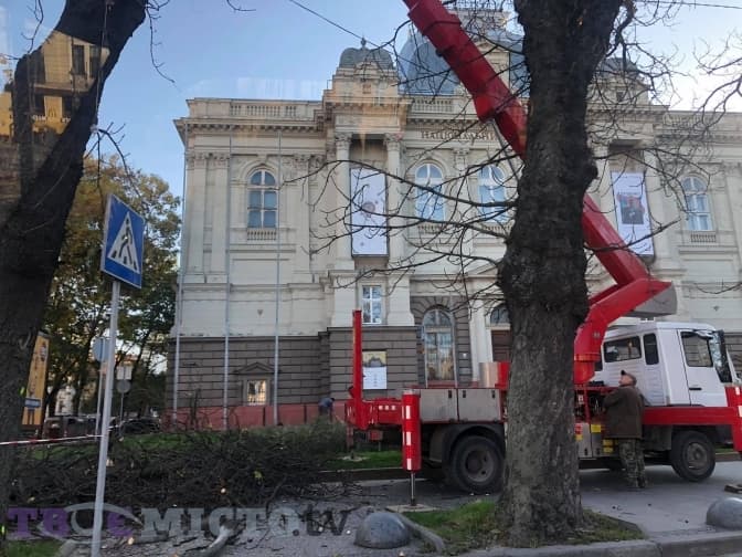 На проспекті Свободи обрізають гіркокаштани