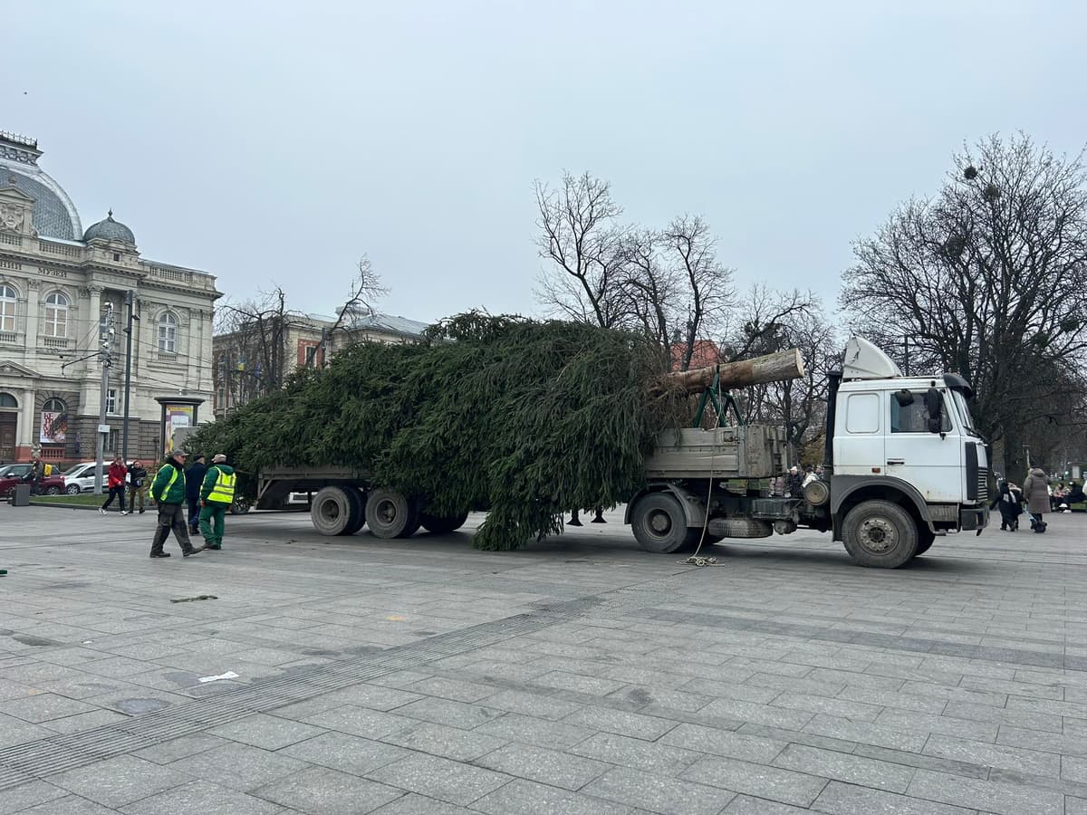 У Львові встановили головну ялинку. Коли вона засяє