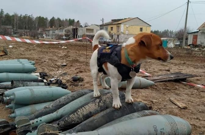 На північних околицях Києва лунатимуть вибухи