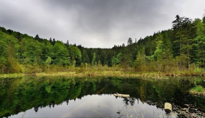 На Львівщині можуть створити реєстр шляхів активного туризму. Що відомо
