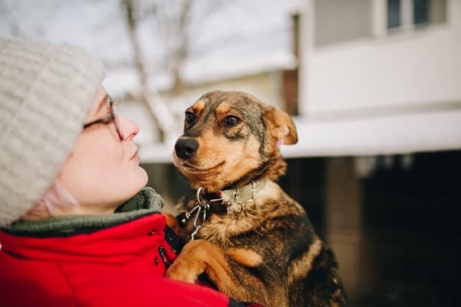 Клео, Глорія і ще п'ятеро чотирилапих терміново шукають нові домівки. Фото