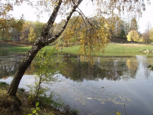 Один із парків Львова знову стане пішохідним