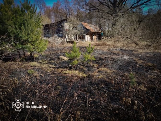 На Львівщині жінка отримала опіки намагаючись загасити підпал сухостою