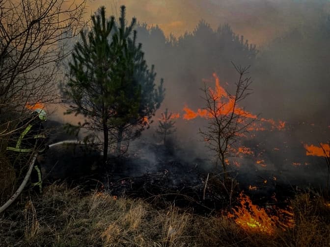 За минулу добу на Львівщині ліквідували 145 пожеж в екосистемах