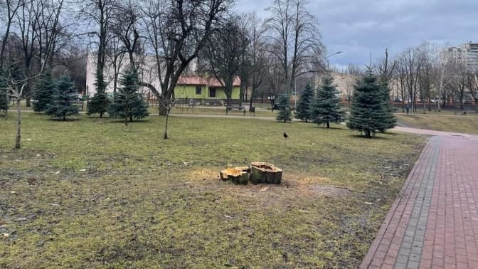 Комунальники спиляли дерева у парку «Відрадний». Депутатка Київради назвала це варварством