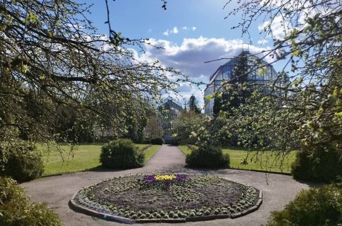 Фото: Ботанічний сад ЛНУ

