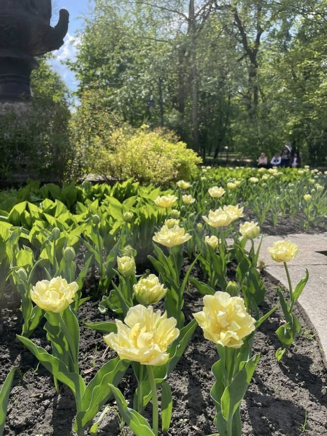 Фото: управління екології Львова