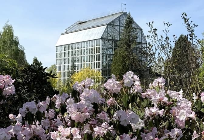 фото: ботсад лну